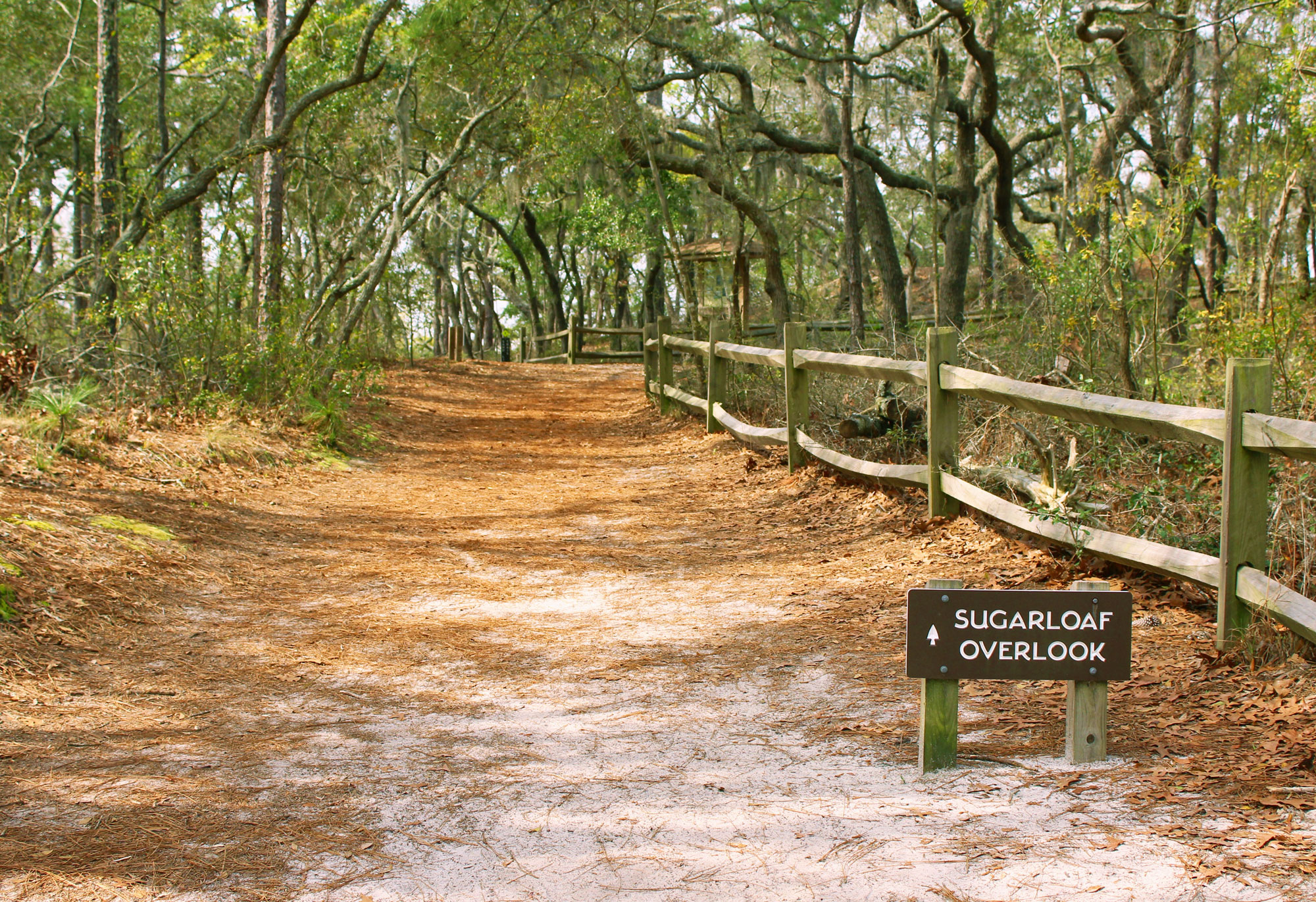 Sugarloaf Outlook trail